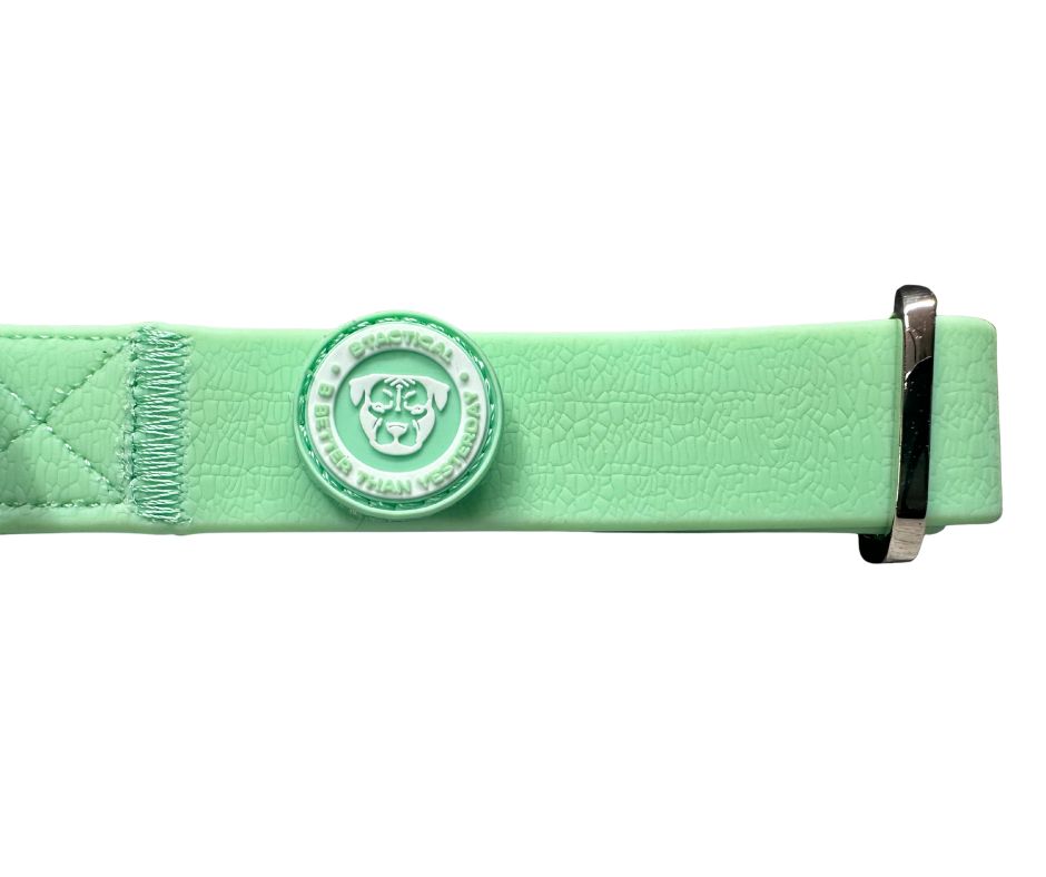 BTactical™ 2.5cm Waterproof PVC Dog Collar | Pastel Green