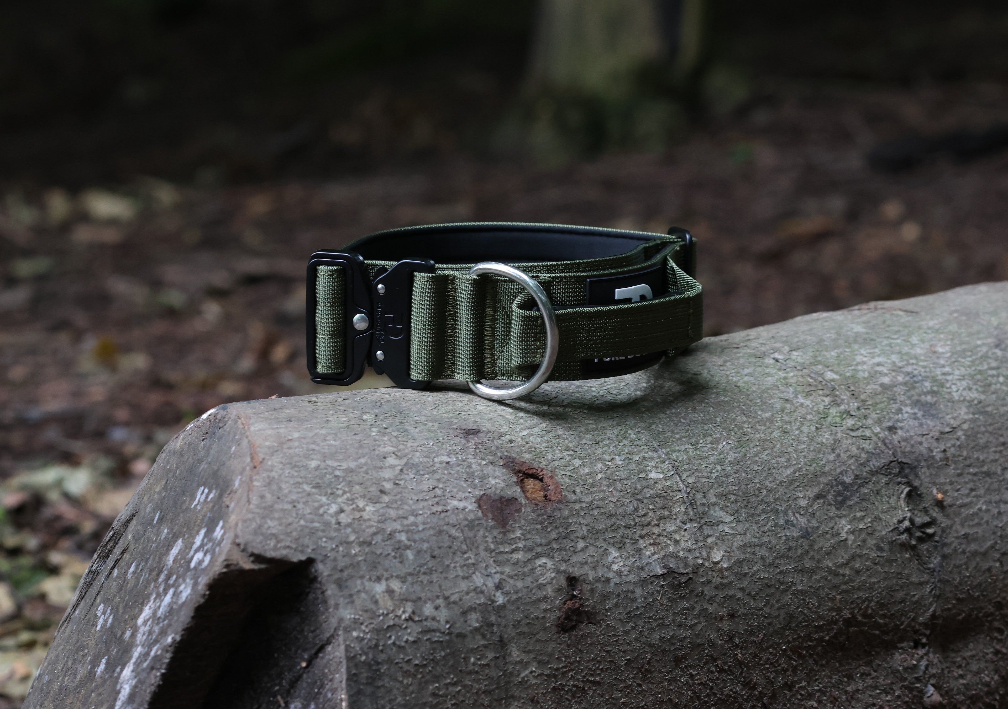 Tactical dog collar with D-ring and adjustable side-release buckle, webbing strap