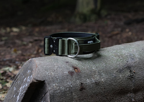 Tactical dog collar with D-ring and adjustable side-release buckle, webbing strap