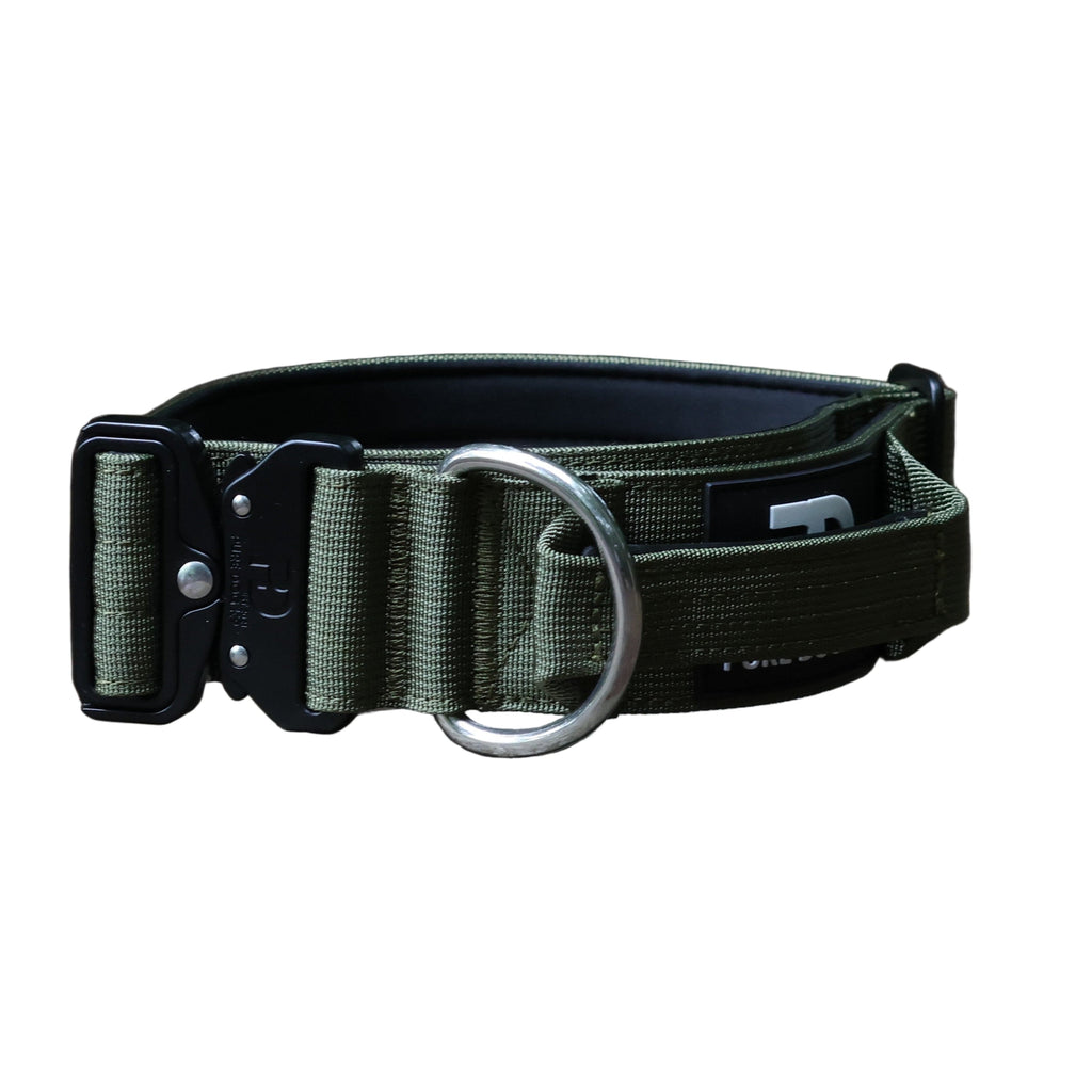 Tactical dog collar in olive fabric with metal D-ring and adjustable buckle