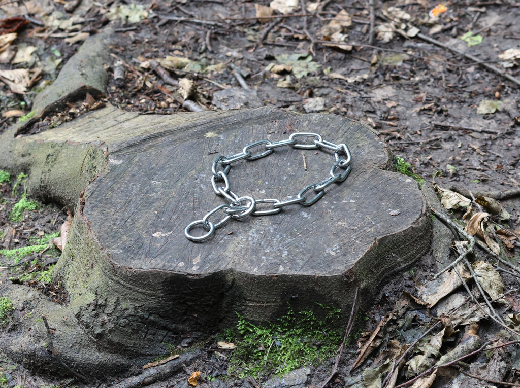5mm chain collar with small oval links and end rings on a stump