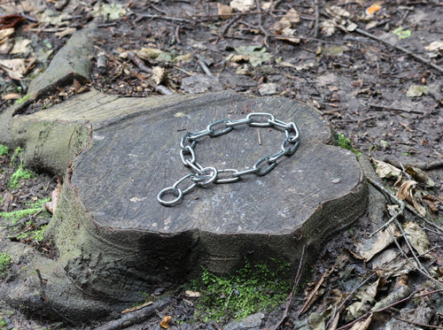 5mm chain collar with small oval links and end rings on a stump