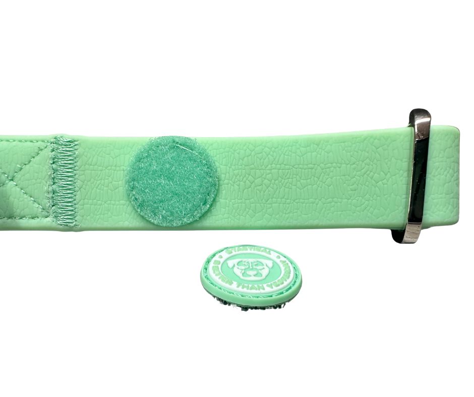 BTactical™ Puppy Waterproof PVC Dog Collar | Pastel Green