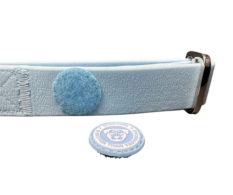 BTactical™ 2.5cm Waterproof PVC Dog Collar | Pastel Blue