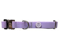 BTactical™ 2.5cm Waterproof PVC Dog Collar | Pastel Purple