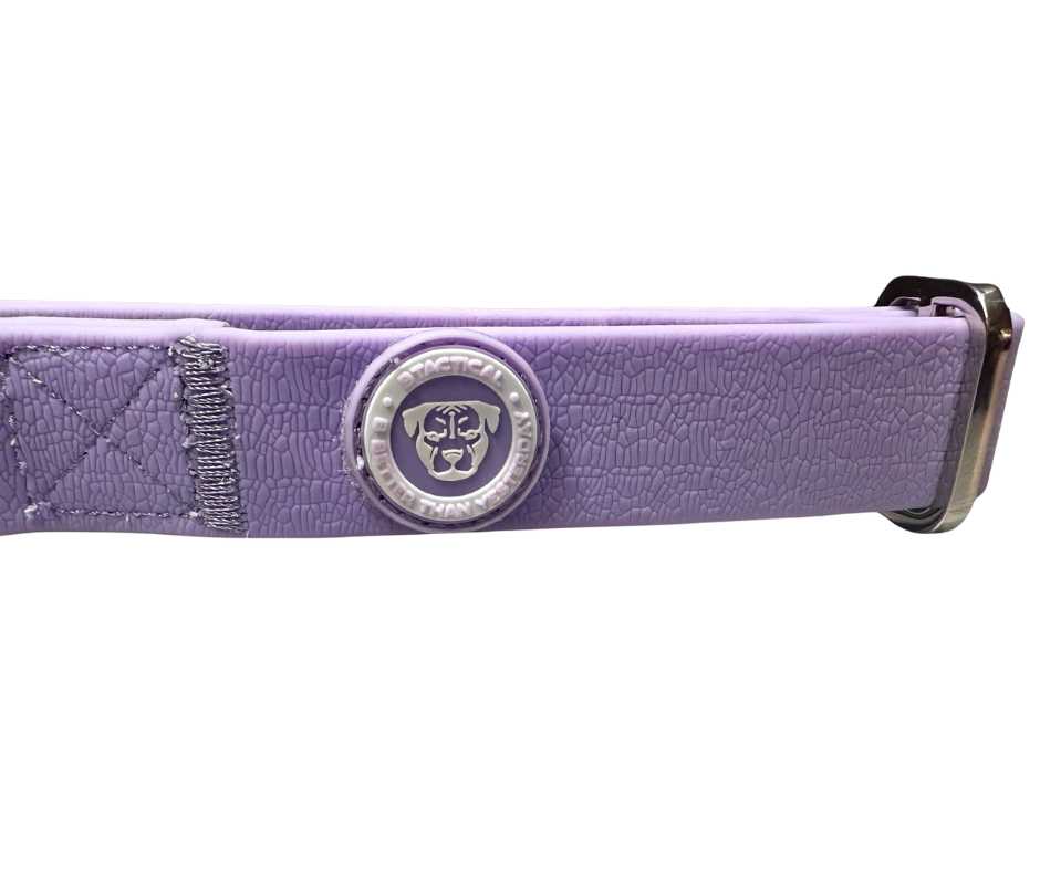 BTactical™ 2.5cm Waterproof PVC Dog Collar | Pastel Purple