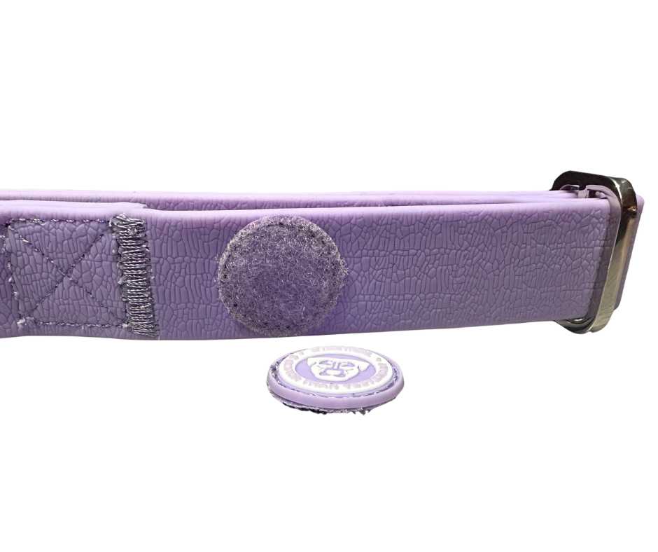 BTactical™ 2.5cm Waterproof PVC Dog Collar | Pastel Purple