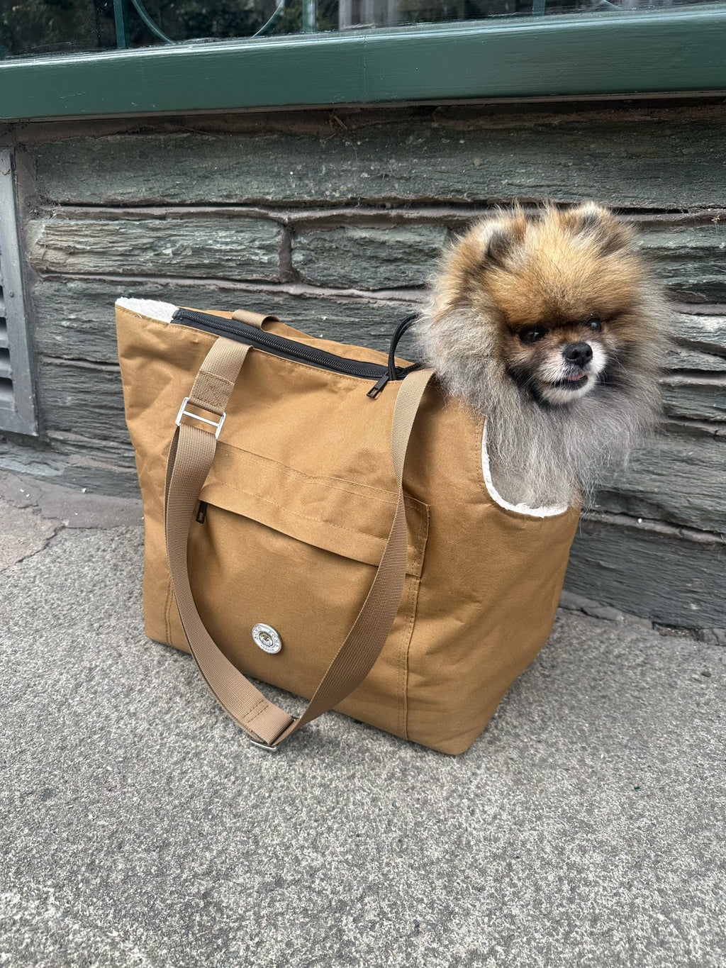 Brown canvas pet carrier bag with front pocket and dog peeking from top