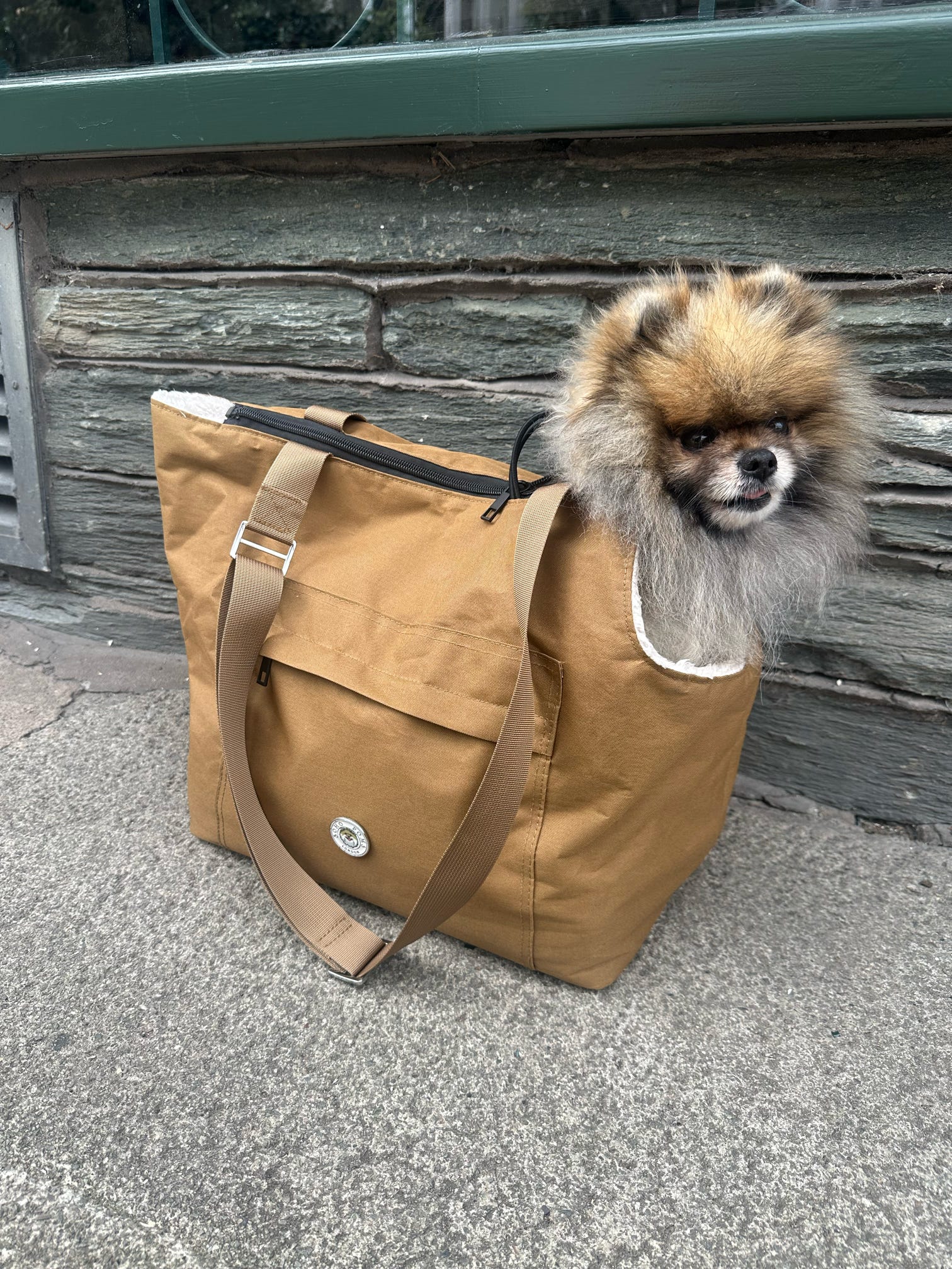 Brown canvas pet carrier bag with front pocket and dog peeking from top