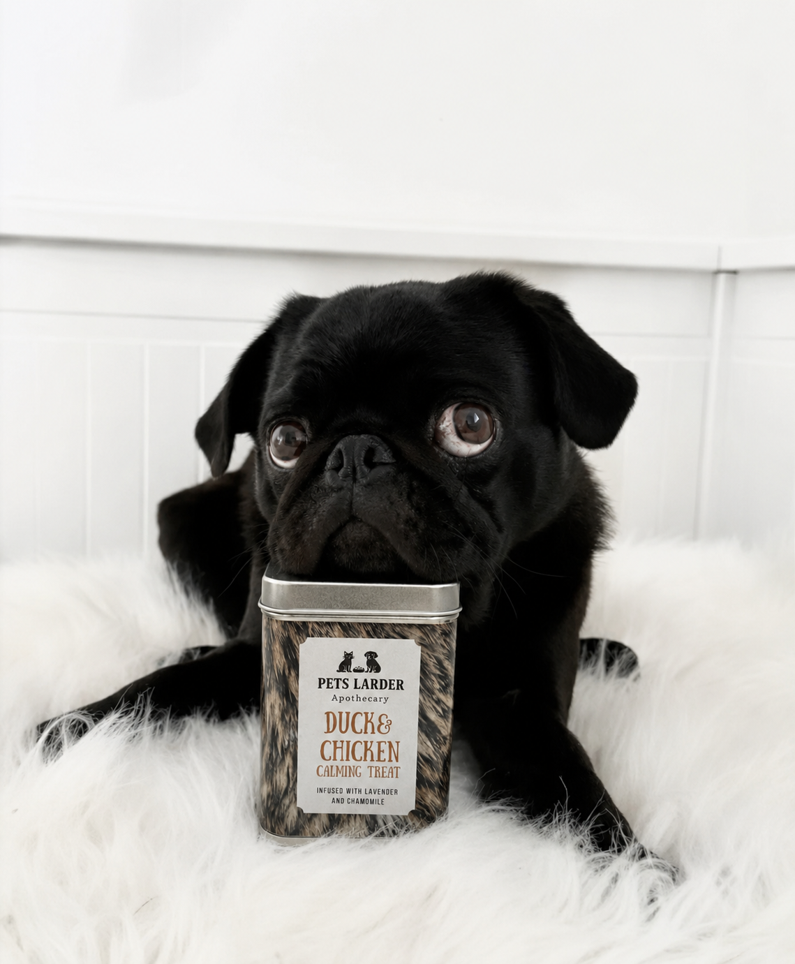 Black pug beside PETS LARDER duck and chicken calming treat tin