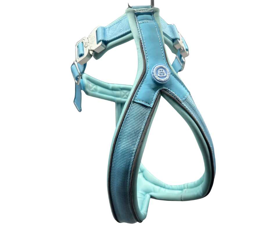 BTactical™ 2.5cm Slip-On Training Dog Harness | Pastel Blue