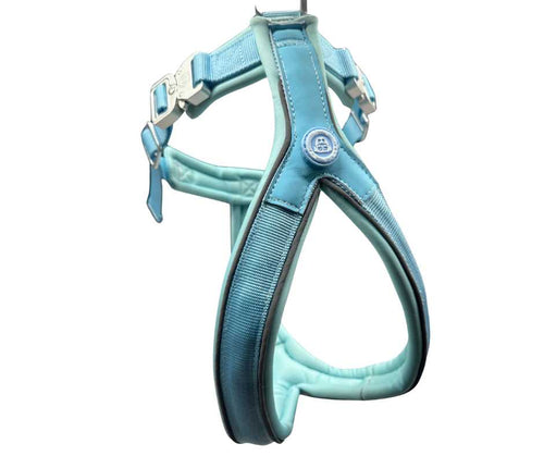 BTactical™ 2.5cm Slip-On Training Dog Harness | Pastel Blue