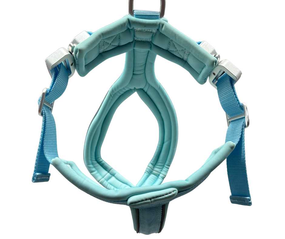 BTactical™ 2.5cm Slip-On Training Dog Harness | Pastel Blue