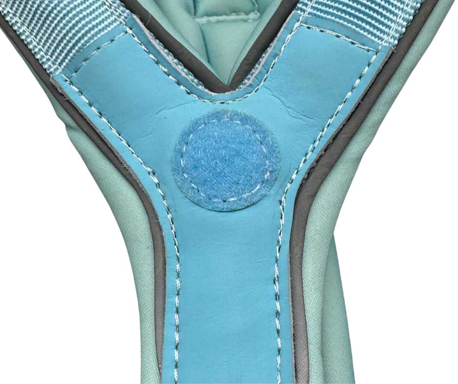 BTactical™ 2.5cm Slip-On Training Dog Harness | Pastel Blue