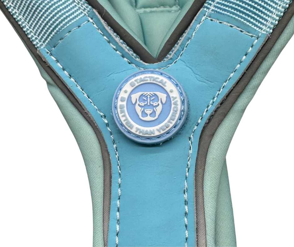 BTactical™ 2.5cm Slip-On Training Dog Harness | Pastel Blue
