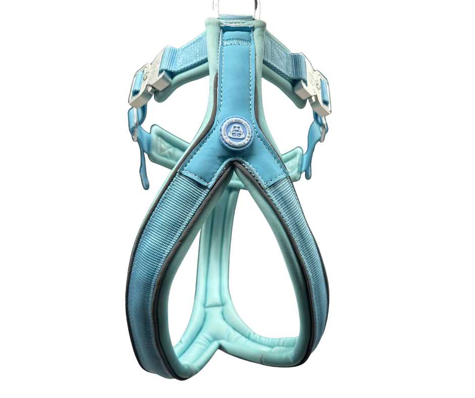BTactical™ 2.5cm Slip-On Training Dog Harness | Pastel Blue