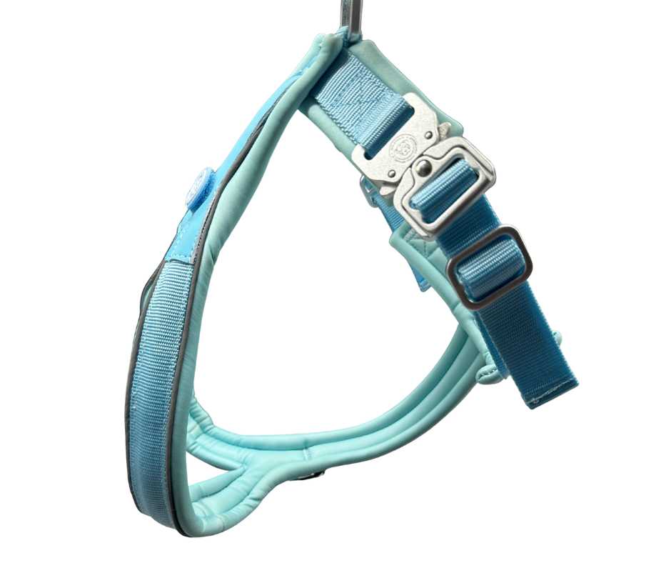 BTactical™ 2.5cm Slip-On Training Dog Harness | Pastel Blue