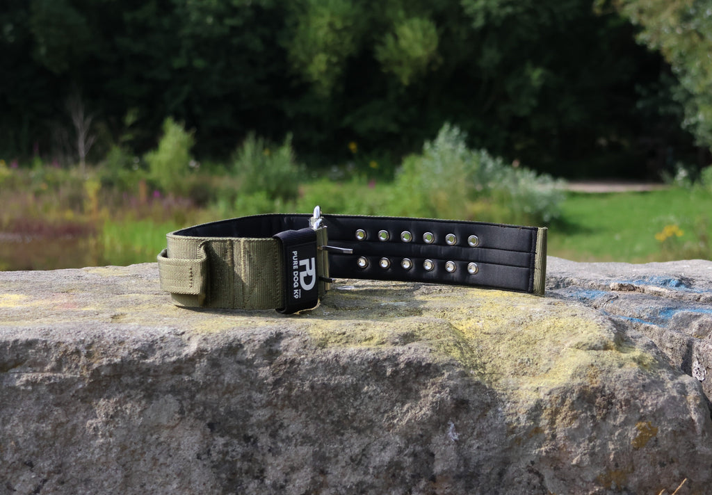 Sport dog collar with khaki strap, black panel, and silver eyelet studs