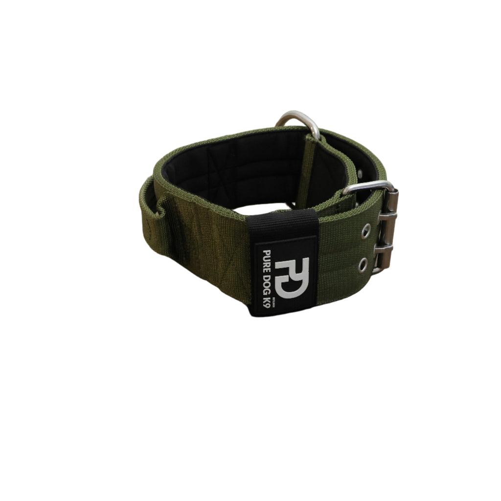 Sport dog collar, khaki and black, metal buckle and studded strap