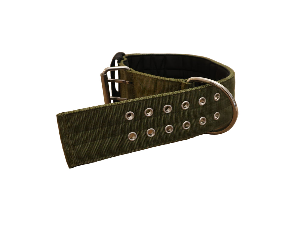 Sport dog collar with khaki strap, black base, and silver D-ring leash clip