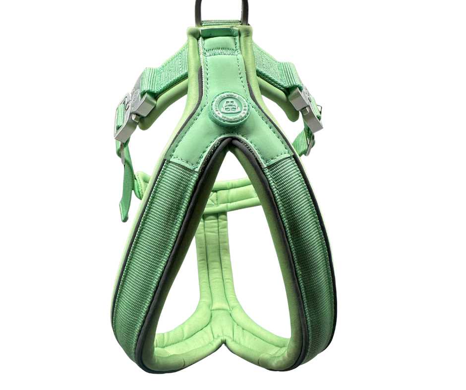 BTactical™ 2.5cm Slip-On Dog Harness | Pastel Green