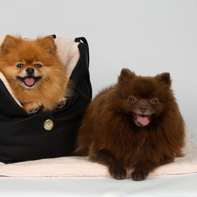 Pink teddy fleece dog blanket in black carrier, covering small brown dog