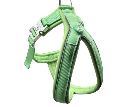BTactical™ 2.5cm Slip-On Dog Harness | Pastel Green