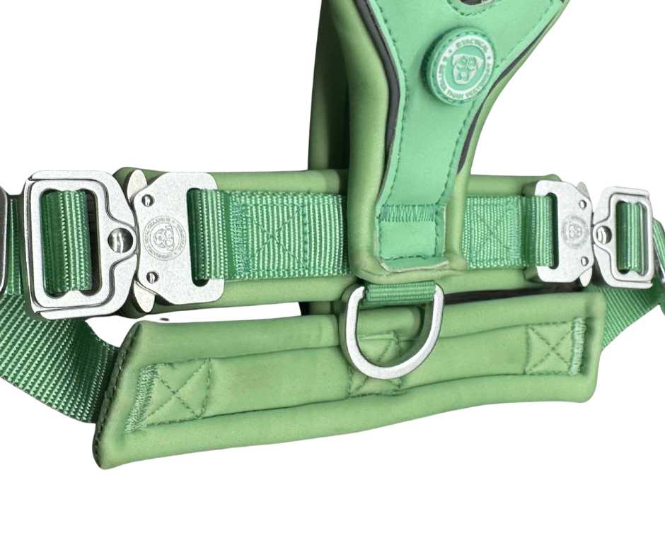 BTactical™ 2.5cm Slip-On Dog Harness | Pastel Green