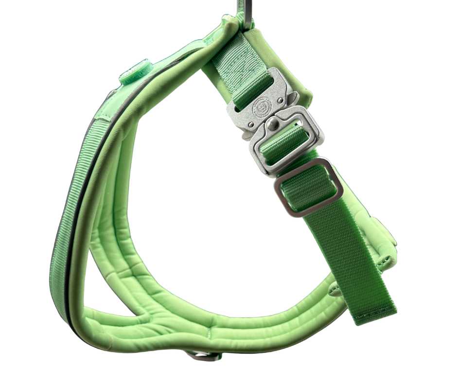 BTactical™ 2.5cm Slip-On Dog Harness | Pastel Green