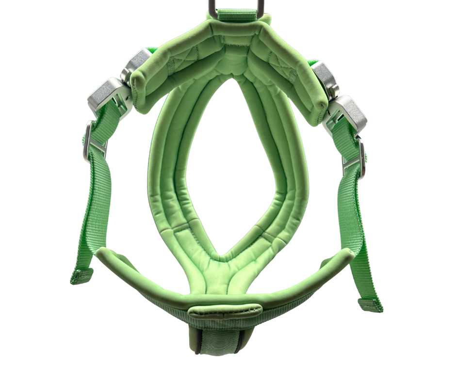 BTactical™ 2.5cm Slip-On Dog Harness | Pastel Green
