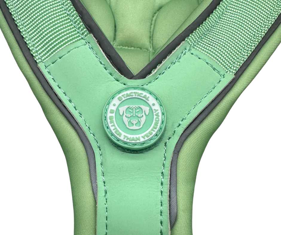 BTactical™ 2.5cm Slip-On Dog Harness | Pastel Green