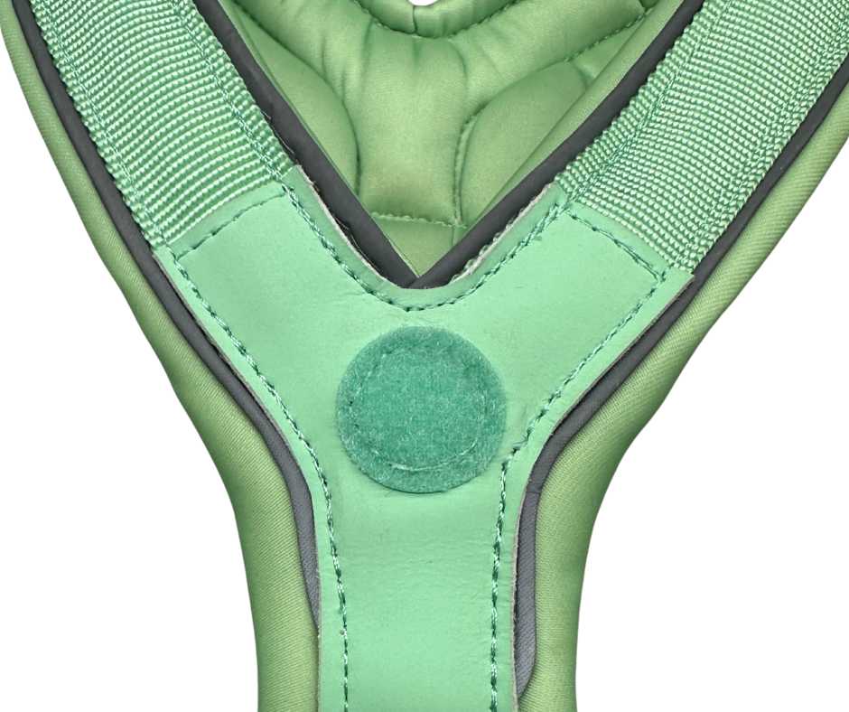 BTactical™ 2.5cm Slip-On Dog Harness | Pastel Green