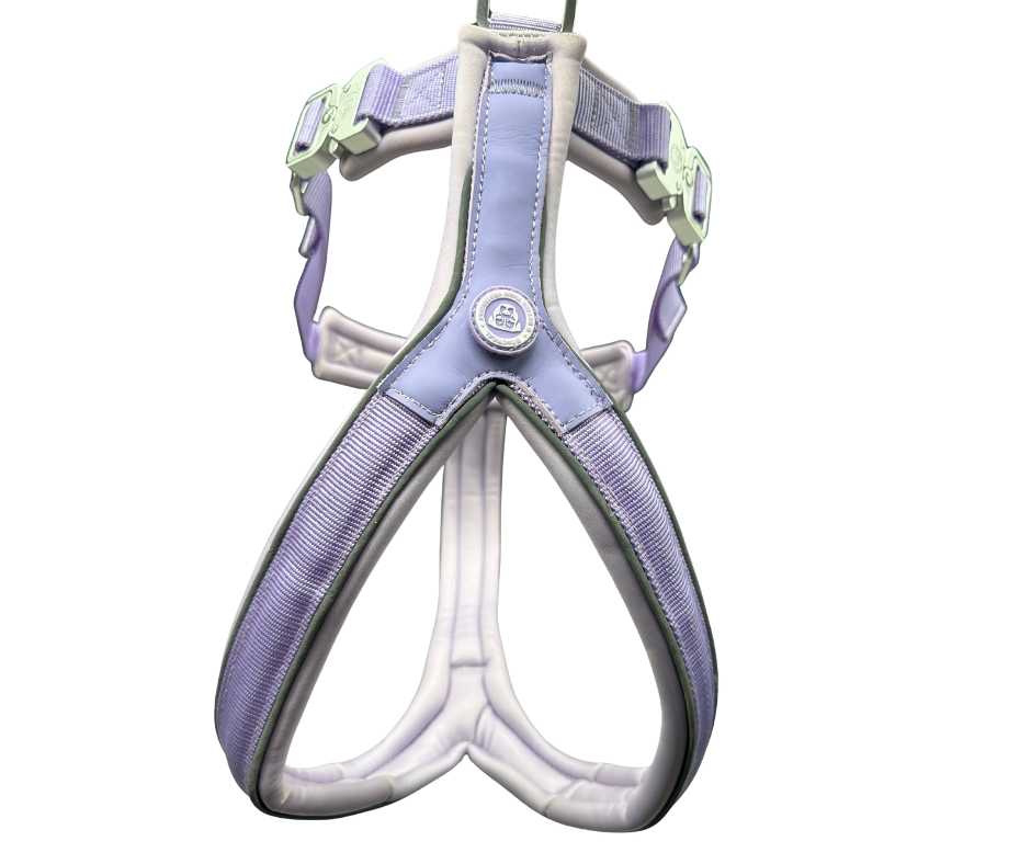 BTactical™ 2.5cm Slip-On Dog Harness | Pastel Purple
