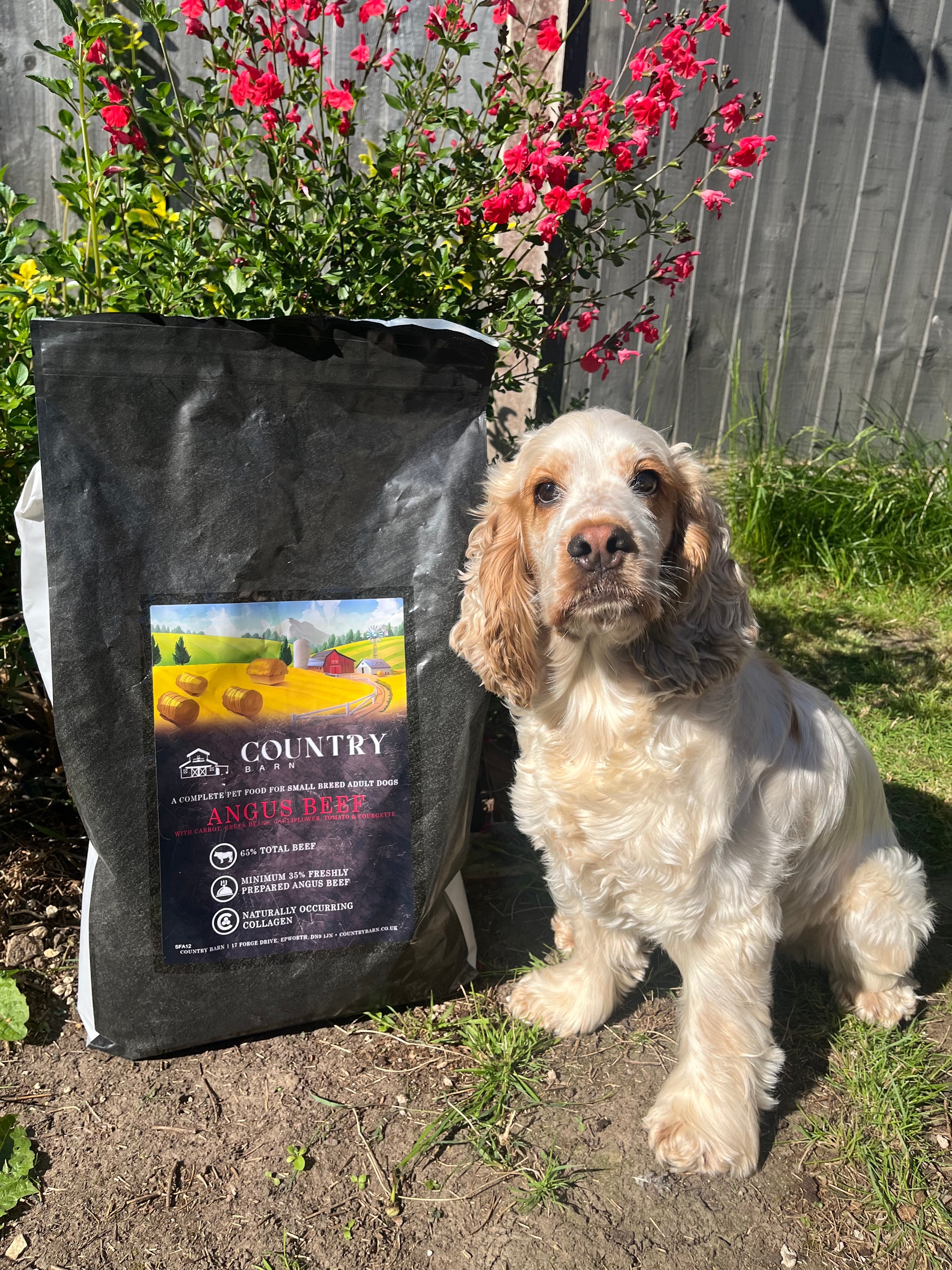 Country Barn Superfood Angus Beef with Carrot, Green Beans, Cauliflower, Tomato & Courgette | Grain-Free Adult Dog Food