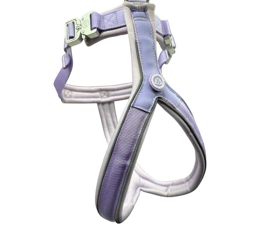 BTactical™ 2.5cm Slip-On Dog Harness | Pastel Purple