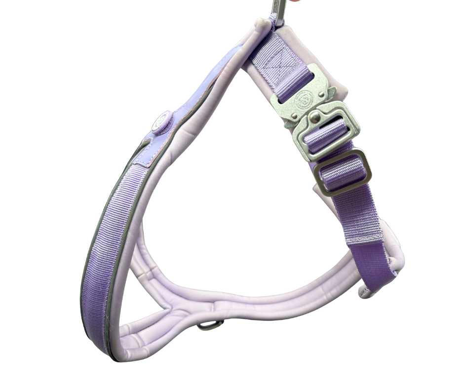 BTactical™ 2.5cm Slip-On Dog Harness | Pastel Purple
