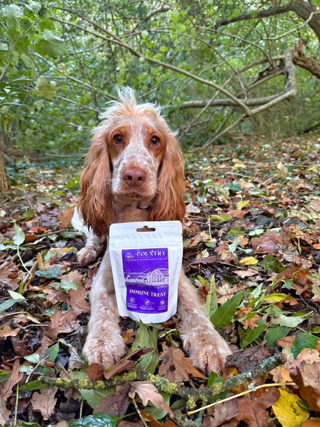 Immune Boost Bites | Duck & Chicken Dog Treats with Beta Glucans, Nucleotides & Vitamins