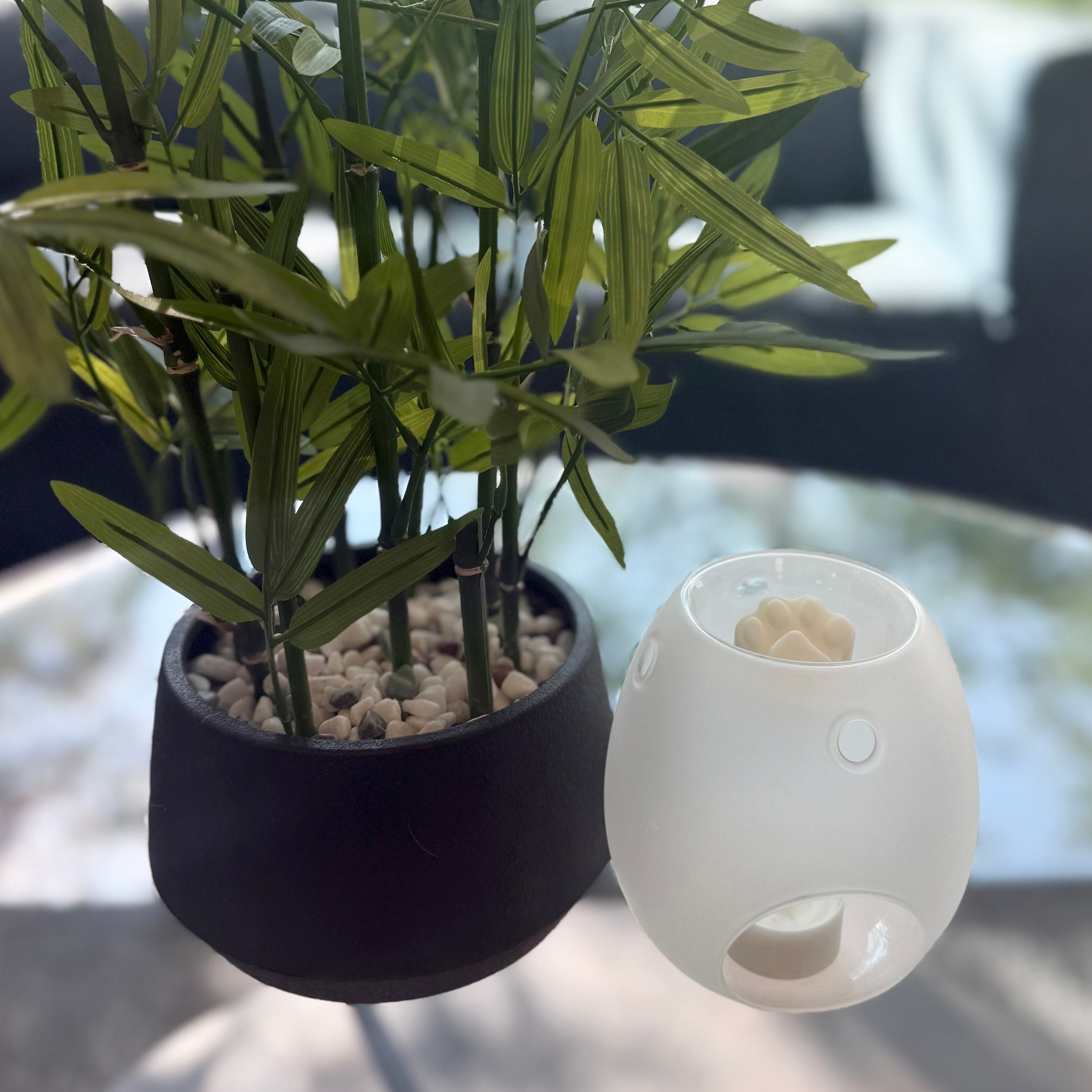 Aromatherapy wax melt burners with pale wax pieces, one dark and one light