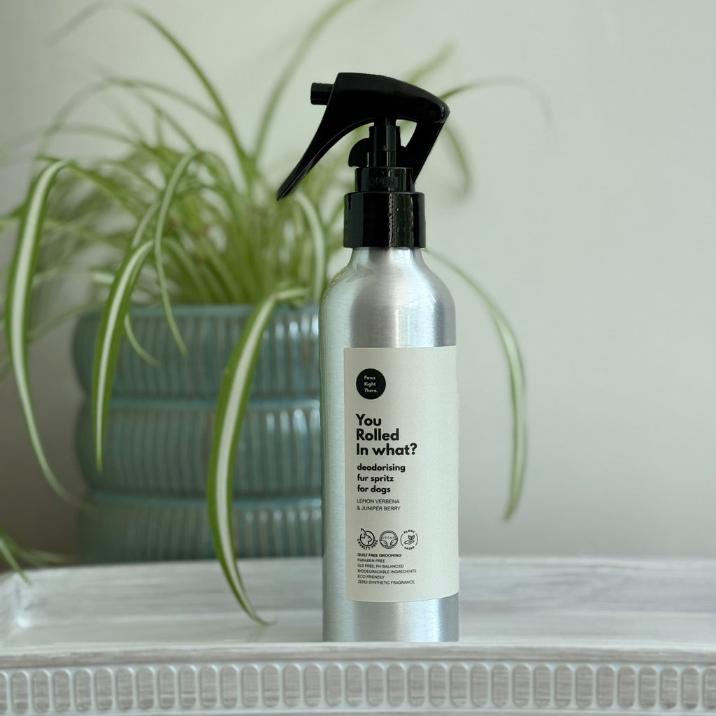 Deodorising dog fur spritz bottle, silver canister with black trigger sprayer and label.