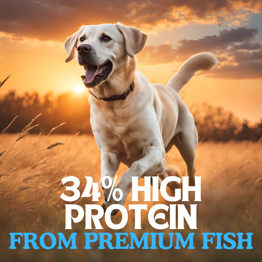 Country Pursuit Cold Pressed Ocean Fish & Sweet Potato - 10kg