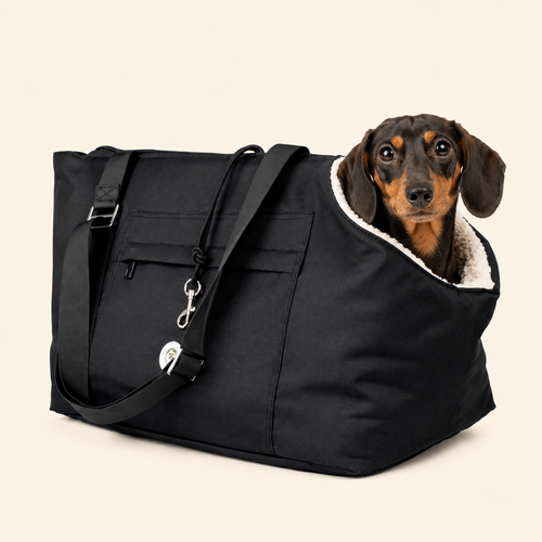 Black pet carrier bag with cream-trim opening, dog sitting inside