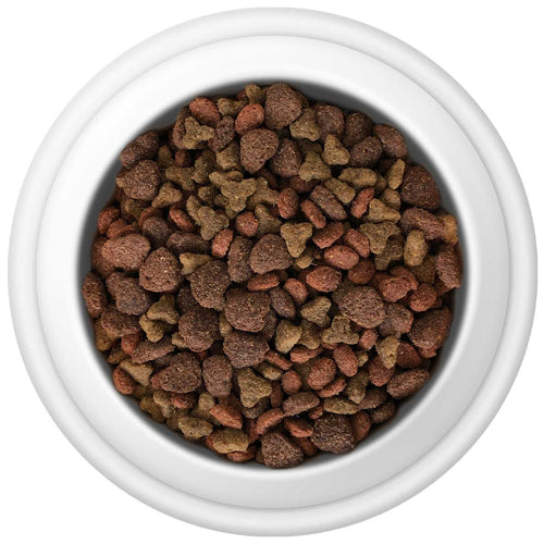 Country Cat Dry Food - 10kg