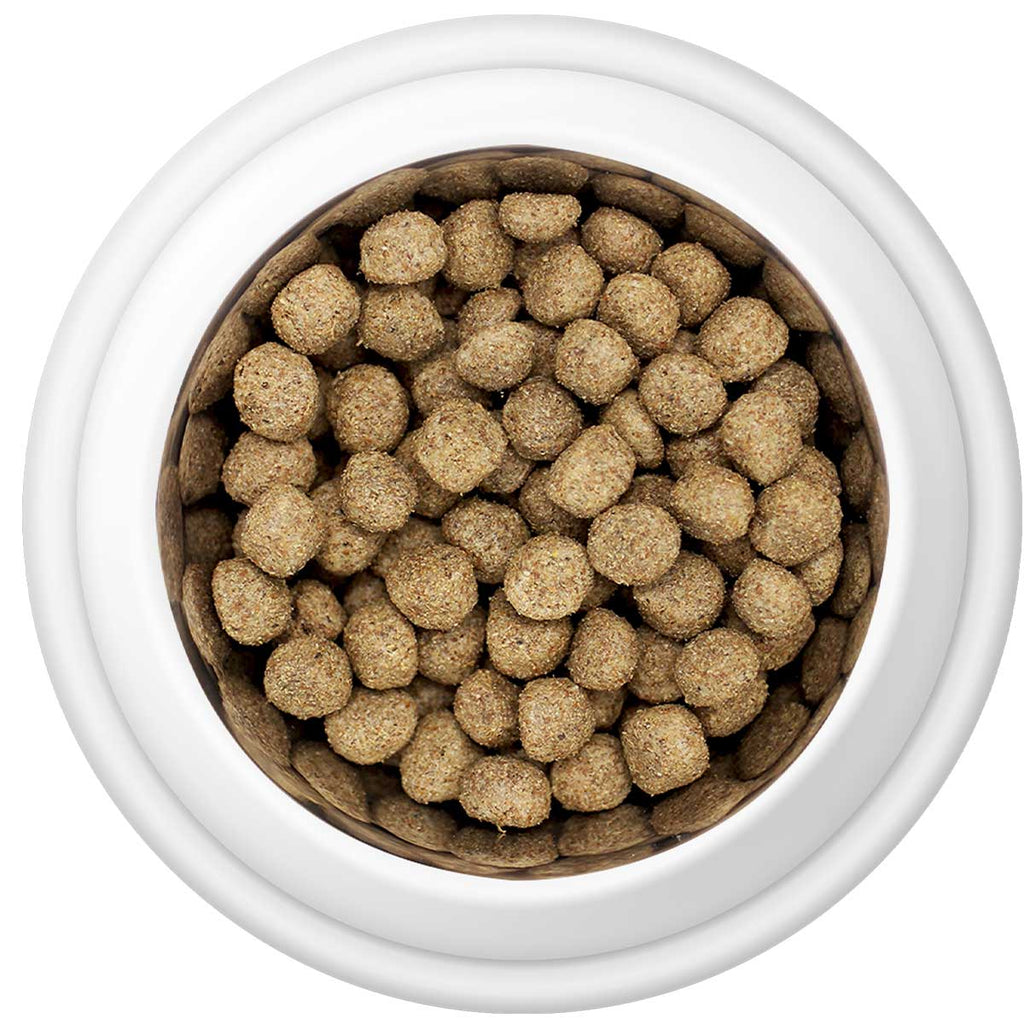Country Pursuit Maintenance Lifestyle Adult Dog Food 3kg