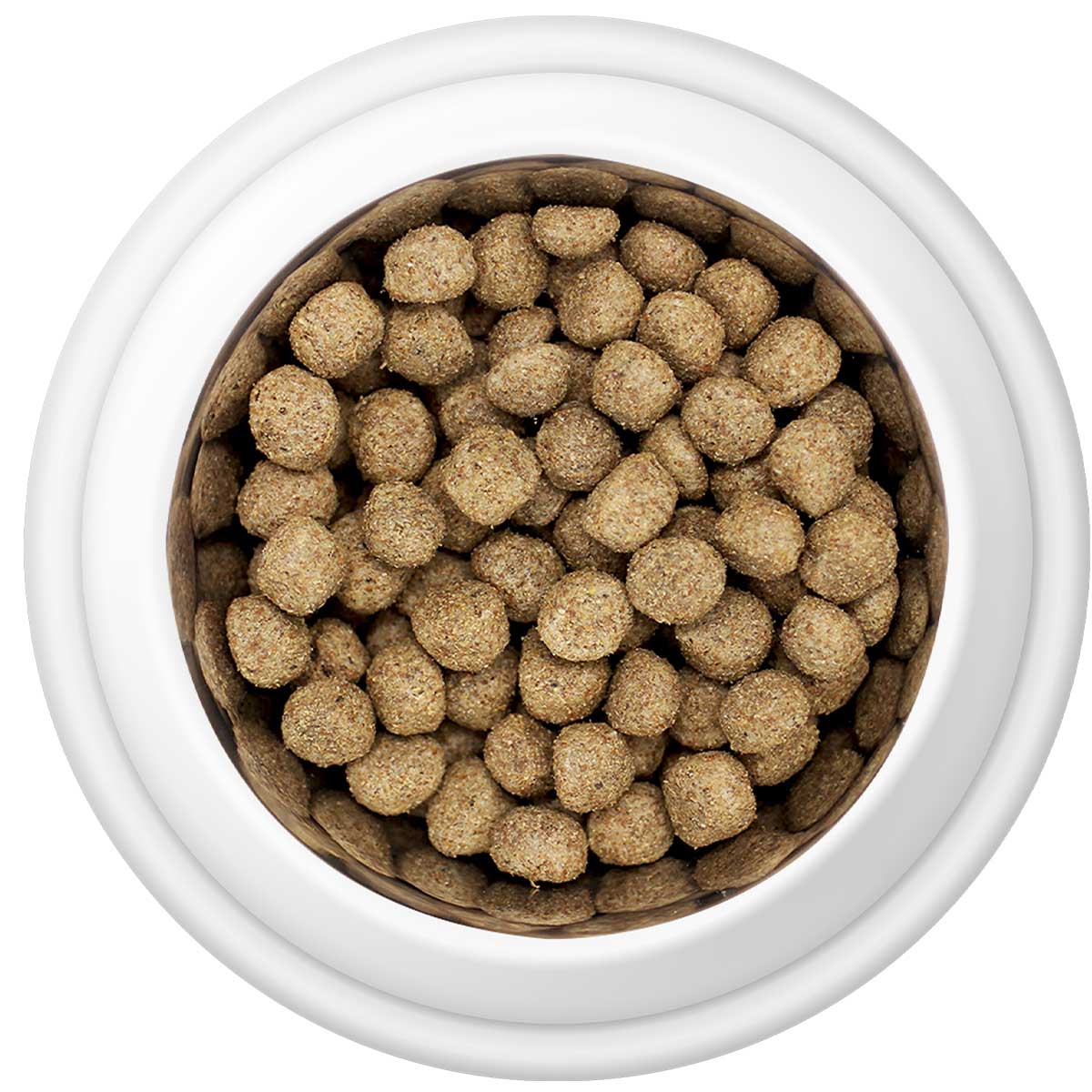 Country Pursuit Maintenance Lifestyle Adult Dog Food 300g Sample