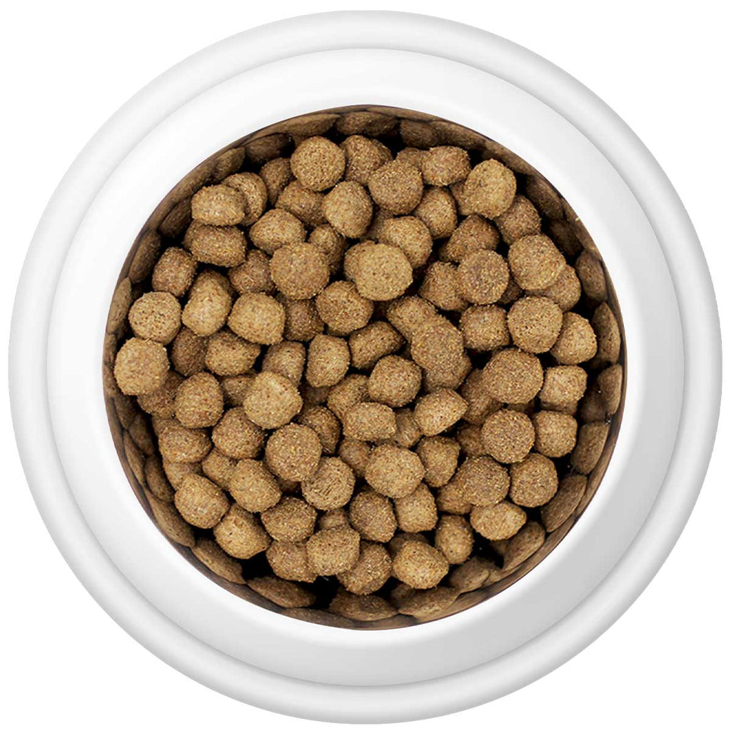 Country Pursuit 365 Original Adult Dog Food 300g Sample