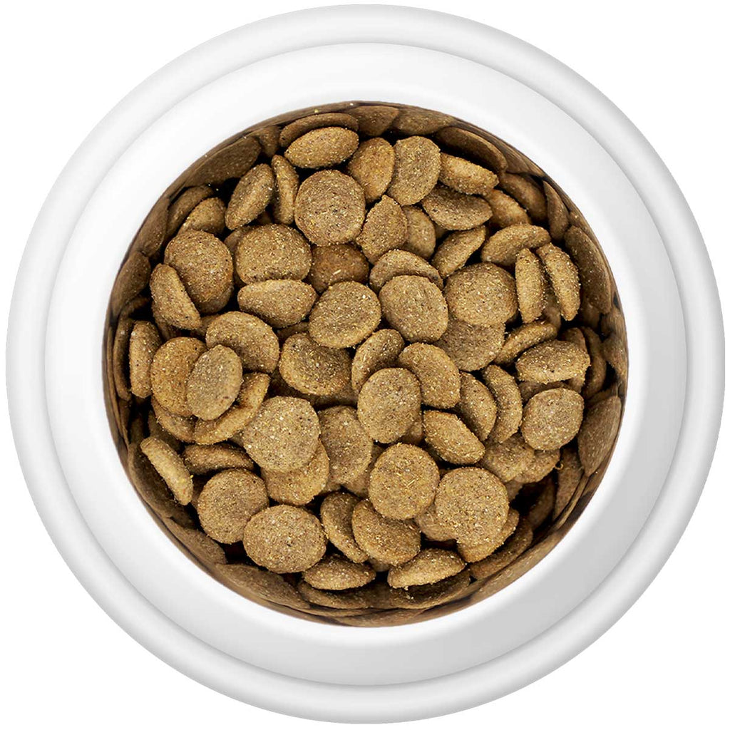 Country Pursuit Premium Chicken & Rice Adult Dry Dog Food - 300g Sample