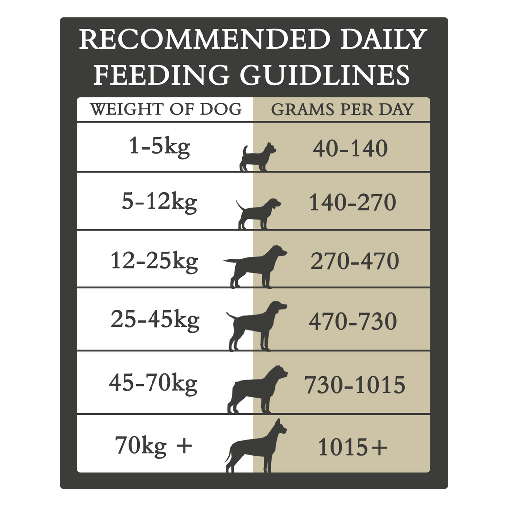 Country Pursuit 365 Original Adult Dog Food 300g Sample