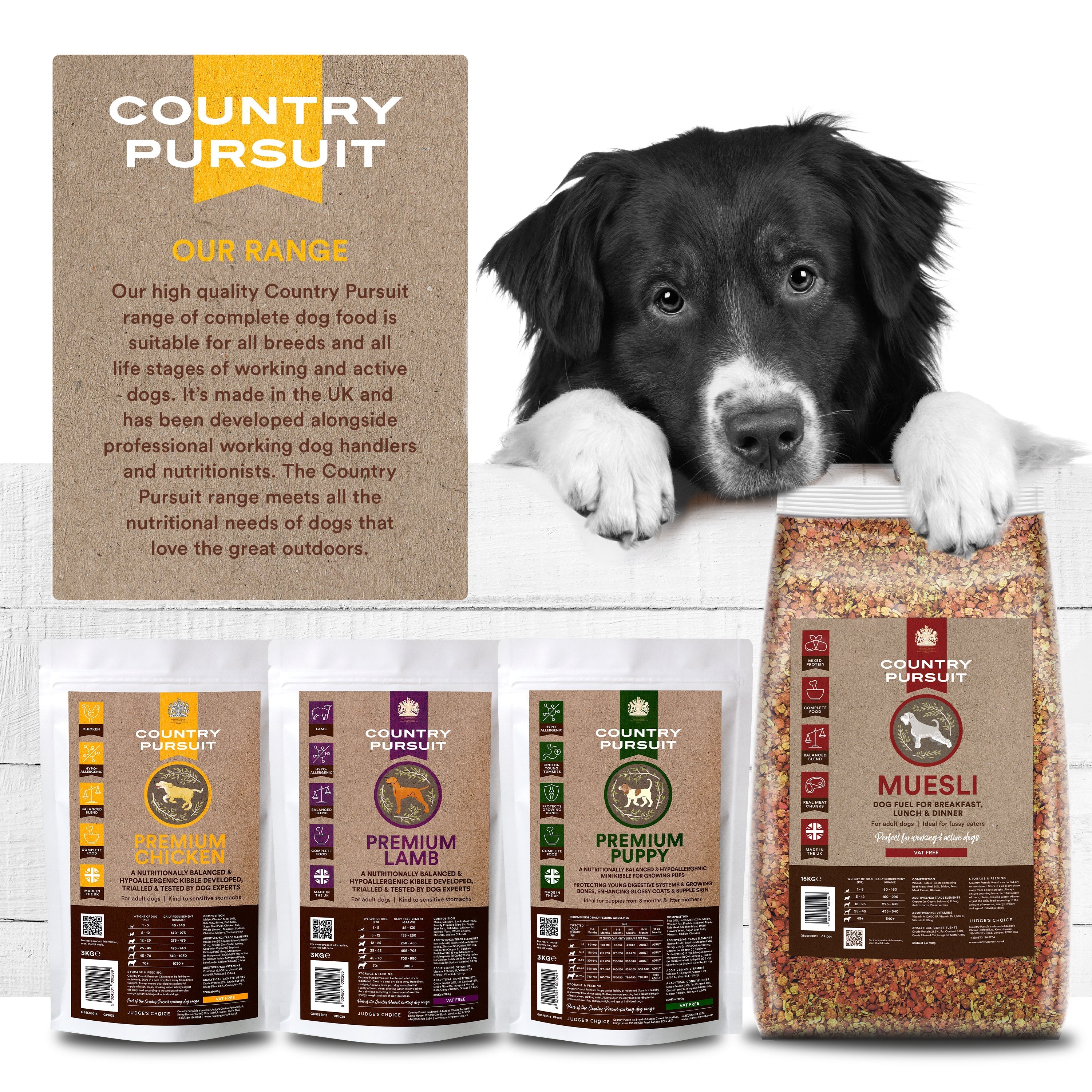 Country Pursuit Premium Chicken & Rice Adult Dry Dog Food - 300g Sample