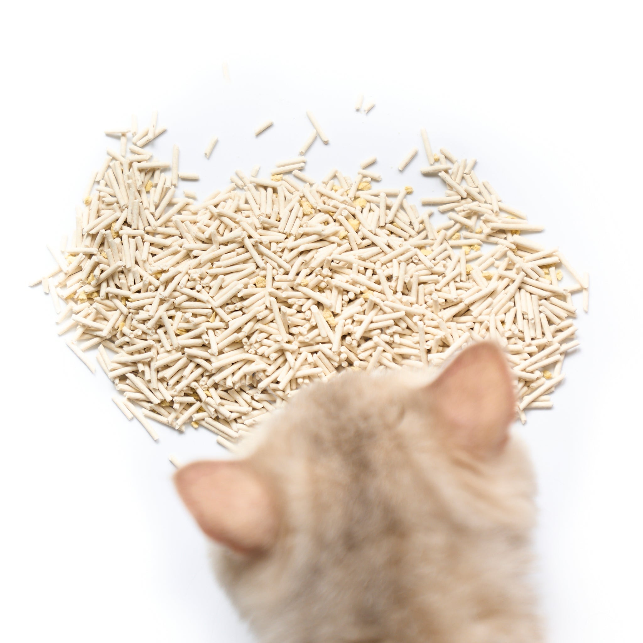 Cococat Plant-based Tofu Cat Litter
