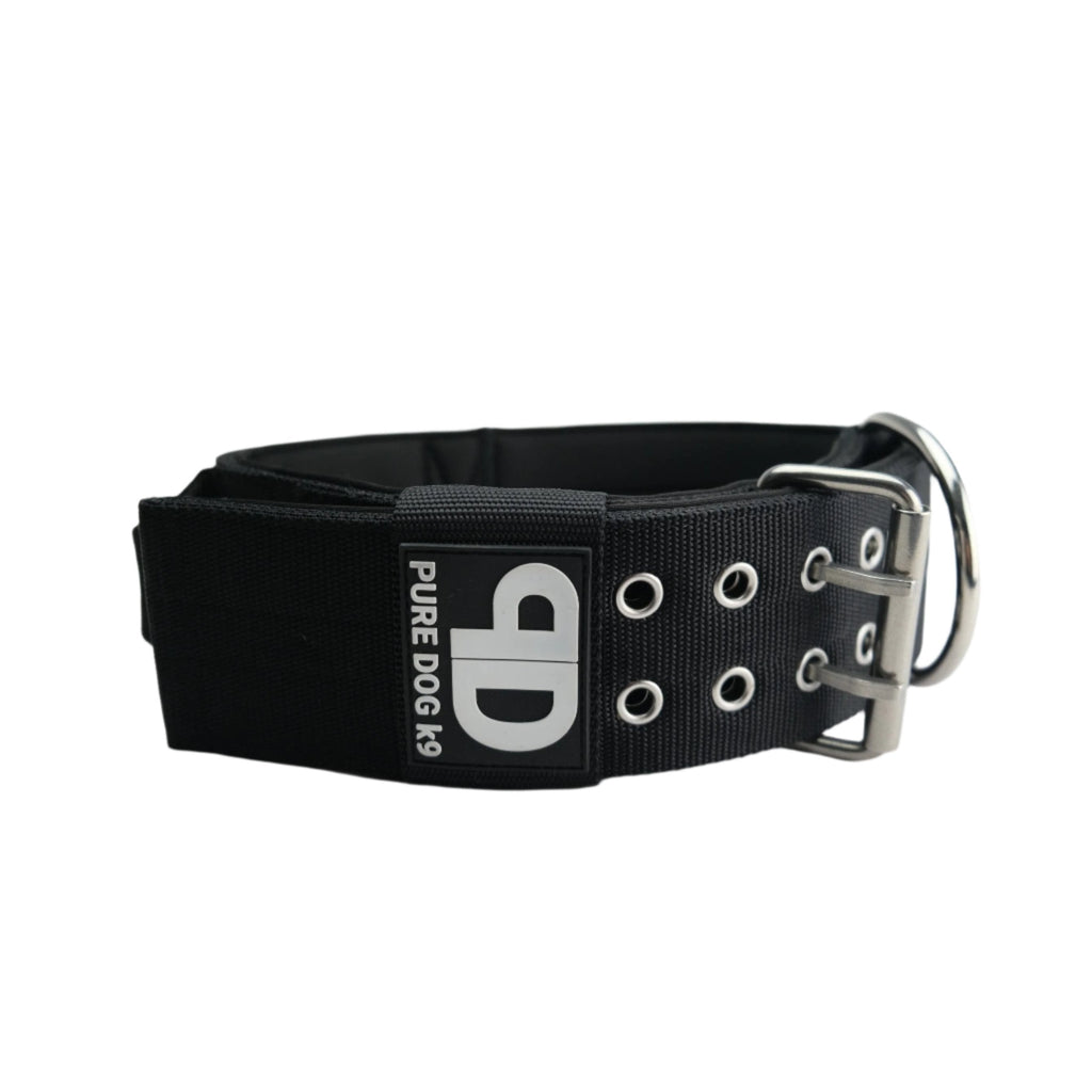 Black nylon sport dog collar with metal buckle, D-ring, and eyelet studs